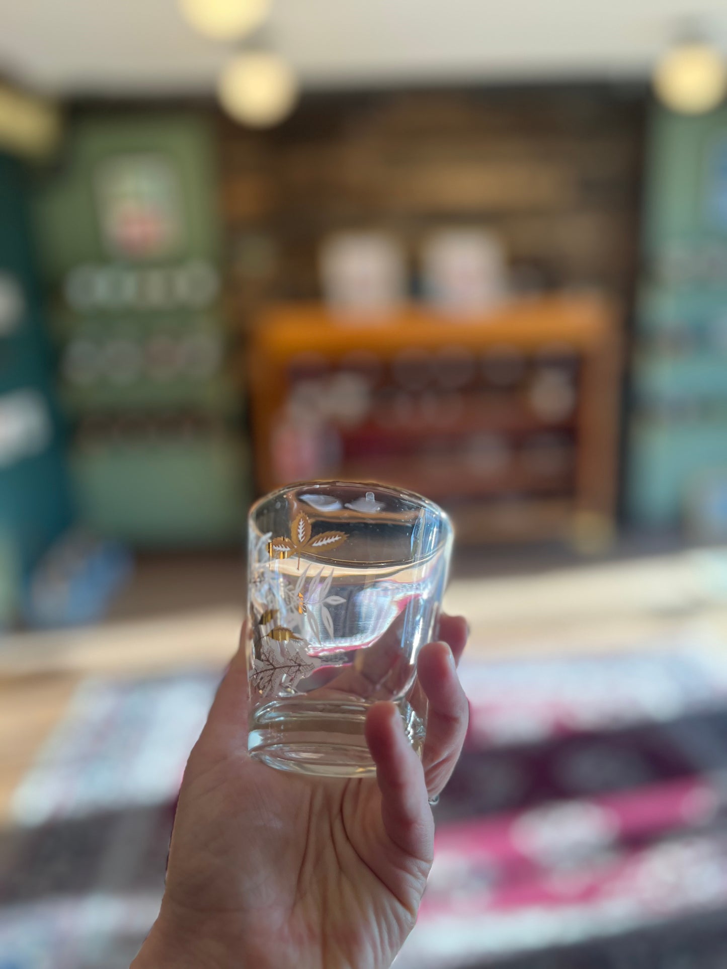 Vintage Dominion Gold Leaf Glasses