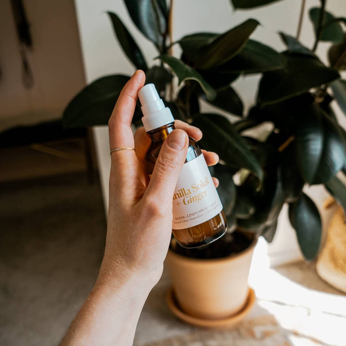 Vanilla Soleil + Ginger | Room & Linen Spray