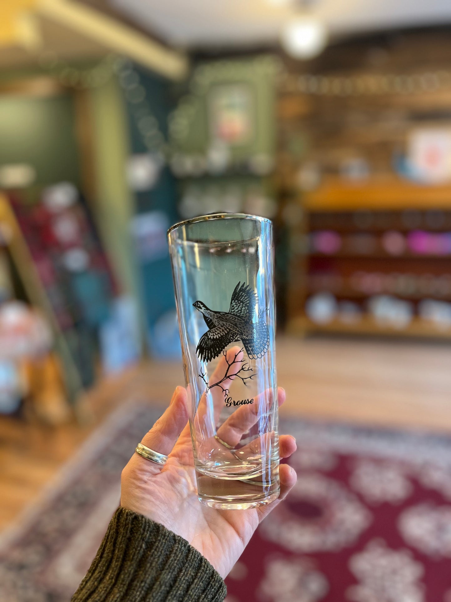 Vintage Bird Beer Glasses, set of four