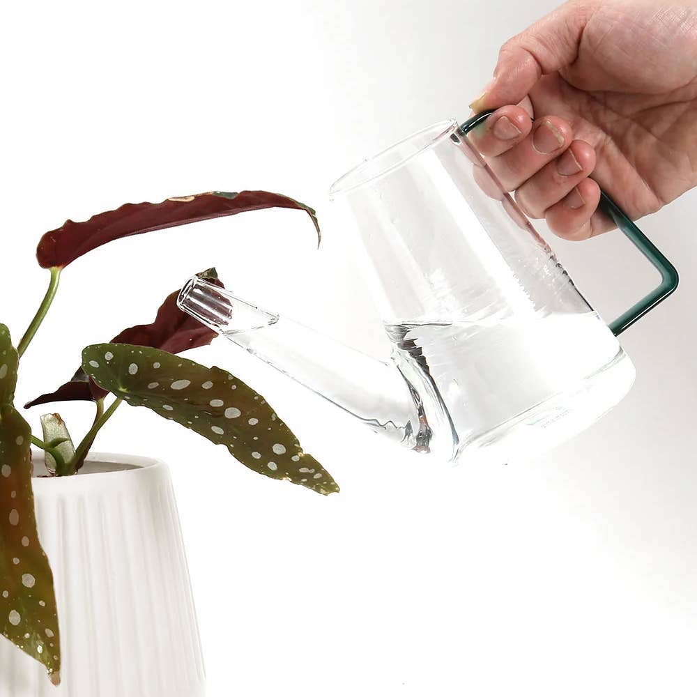 Colourful Glass Plant Watering Can