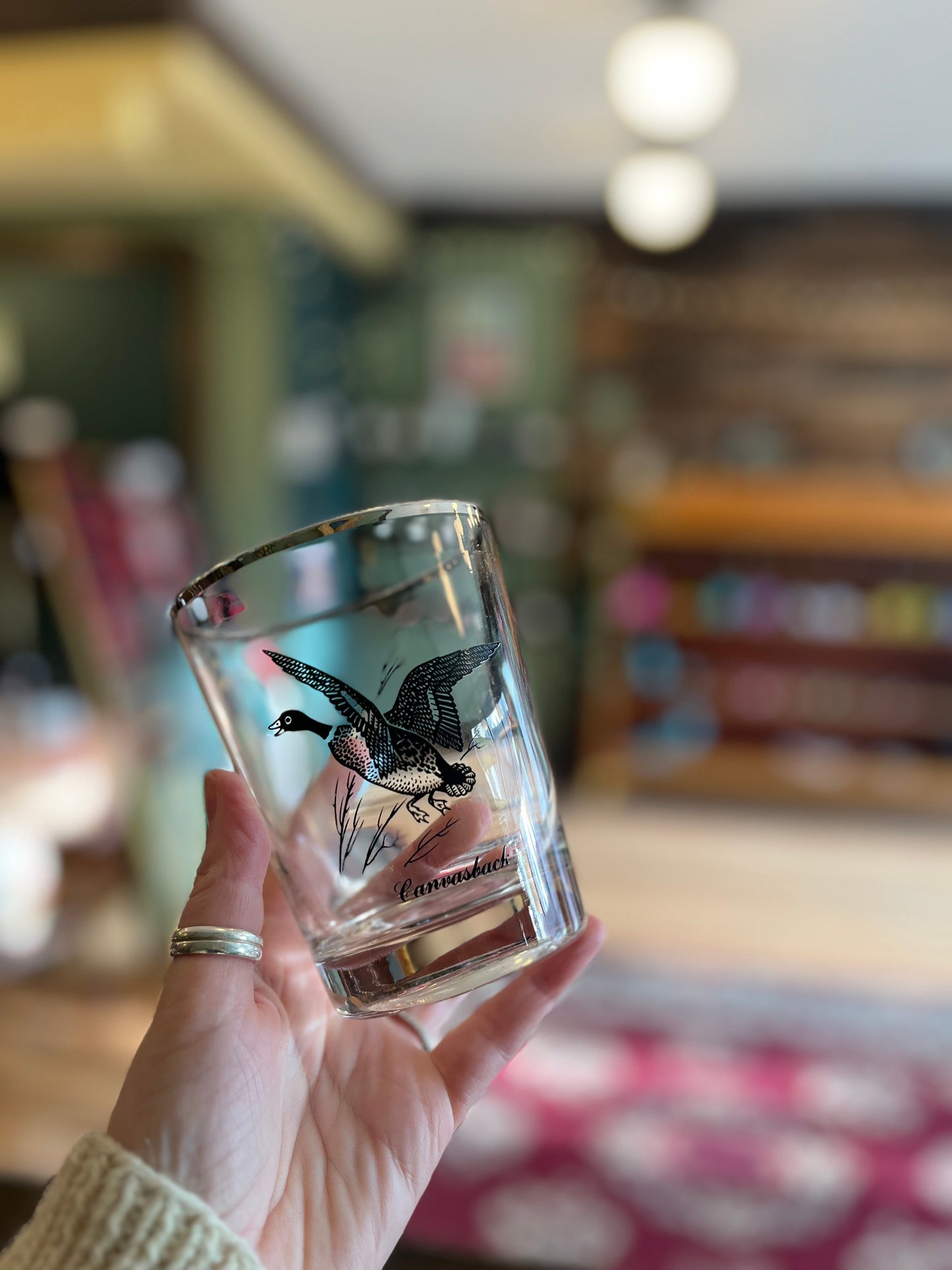 Vintage Bird Tumbler Glasses, set of two