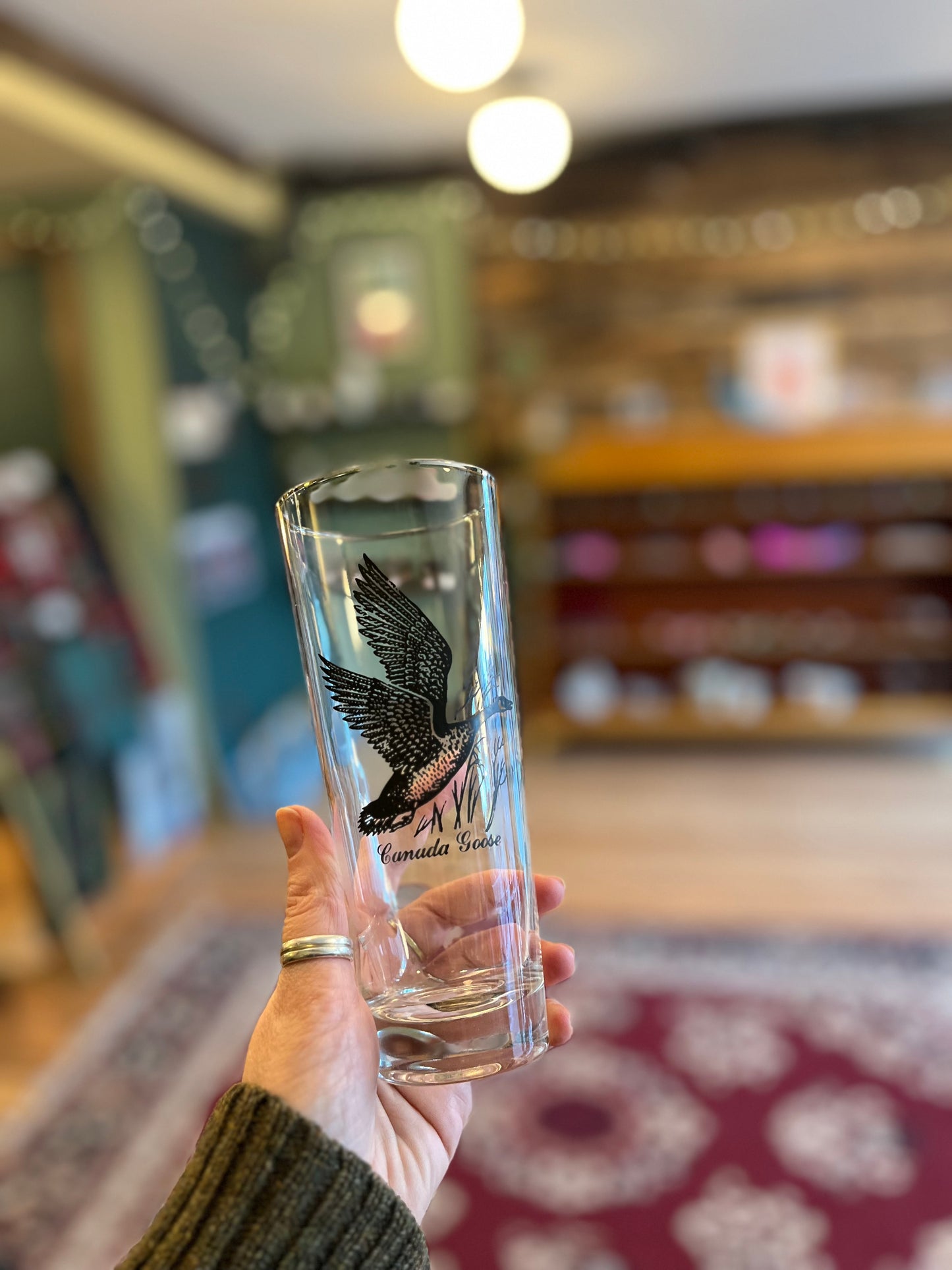 Vintage Bird Beer Glasses, set of four