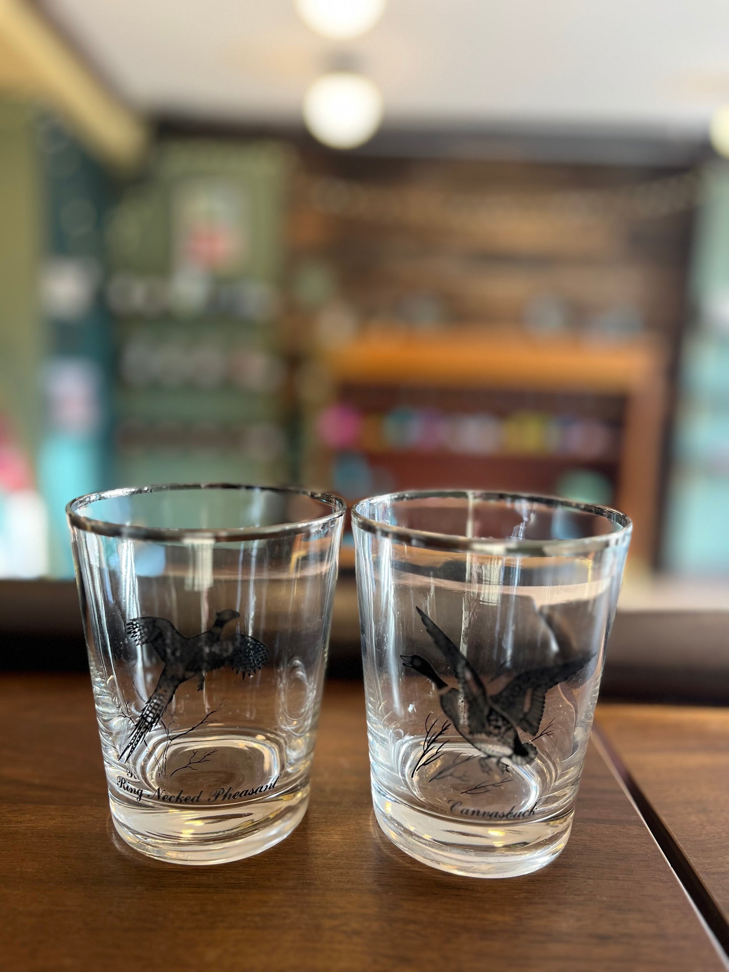 Vintage Bird Tumbler Glasses, set of two