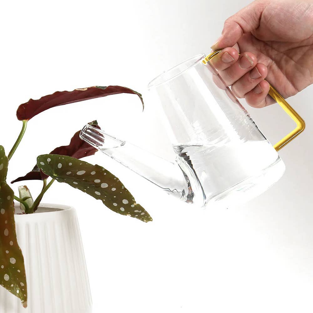 Colourful Glass Plant Watering Can