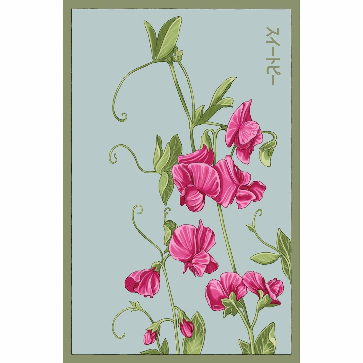 Shido Sweet Pea Flower Seeds Packet with Seed Cards